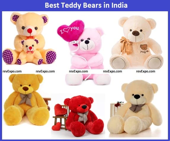 Best Teddy Bear in India
