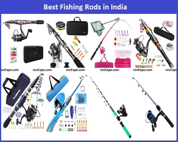 Best Fishing Rod brands in India