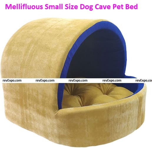 Mellifluous Golden Blue Small Size Dog and Cat Cave Pet Bed