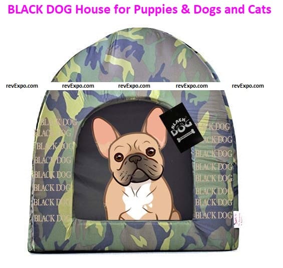 BLACK DOG House for Puppies & Dogs