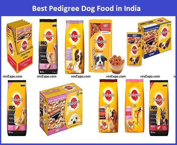 Best Pedigree Dog Food in India