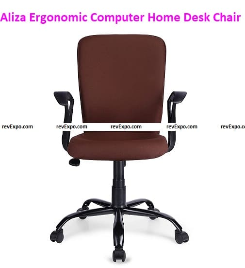 Aliza Ergonomic Computer Home Desk Chair