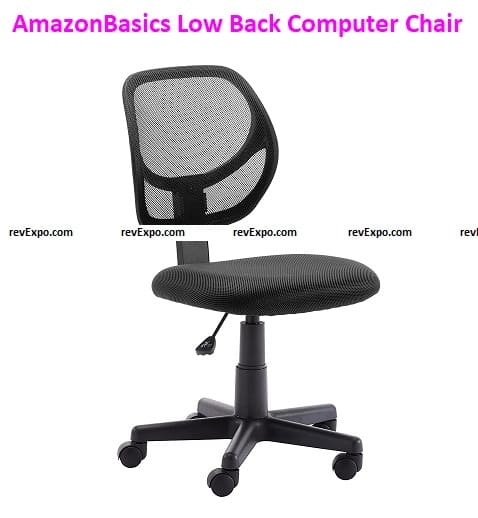 AmazonBasics Low Back Computer Chair