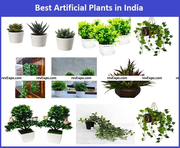 Best Artificial Plants in India