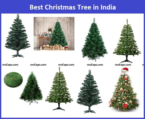 Best Christmas Tree in India
