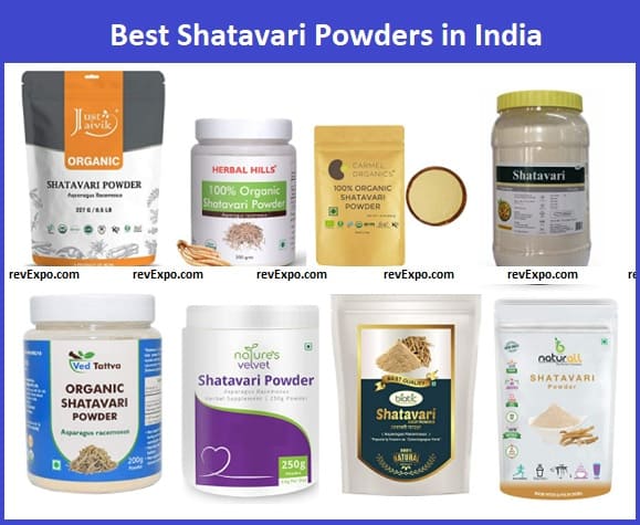 Best Shatavari Powder in India