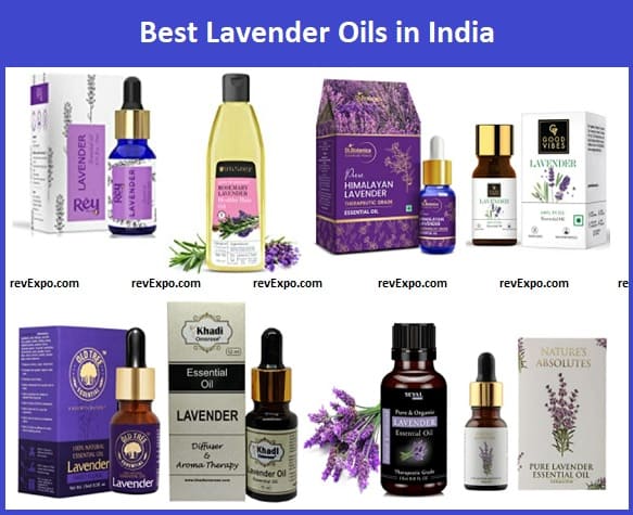 Best Lavender Oil in India