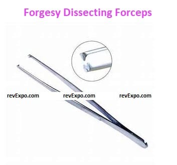Forgesy Dissecting Forceps