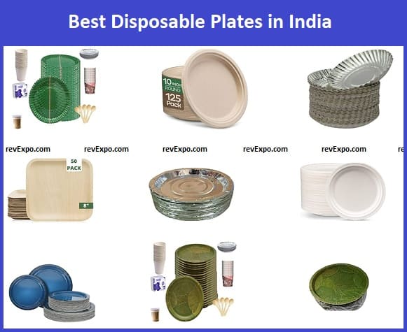 Best Disposable Plates in India