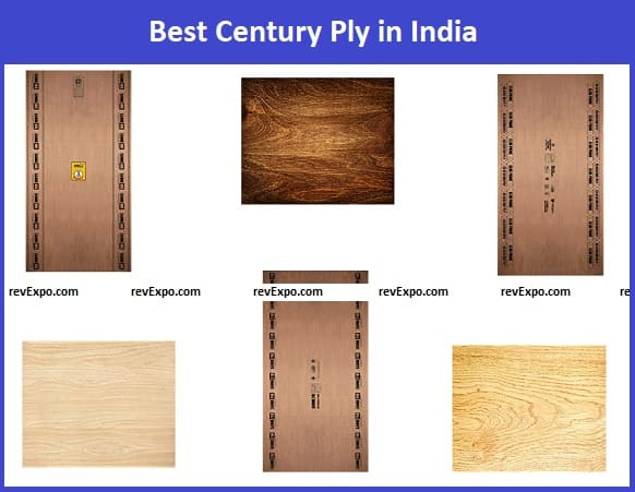 Best Century Ply in India
