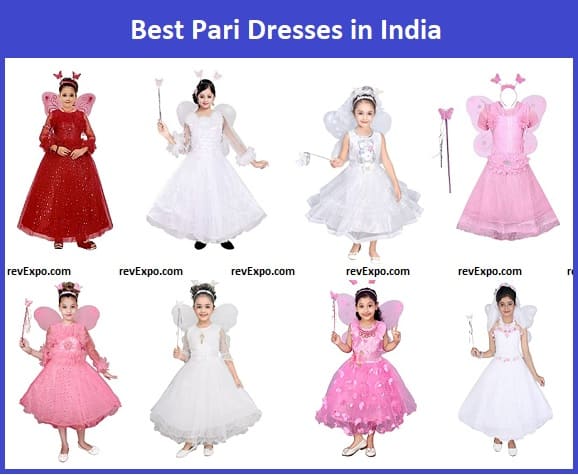 Best Pari Dresses in India