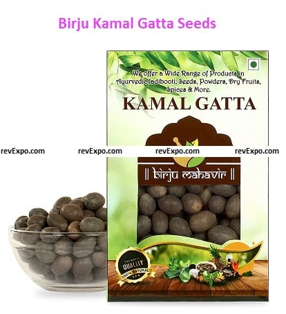Birju Kamal Gatta Seeds