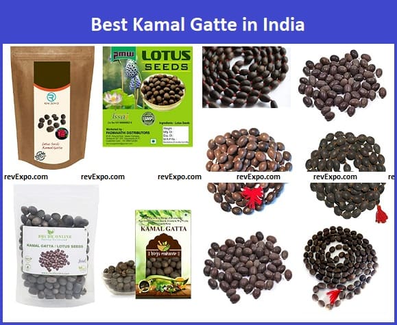 Best Kamal Gatte in India